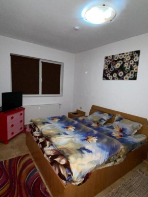 Apartament cochet